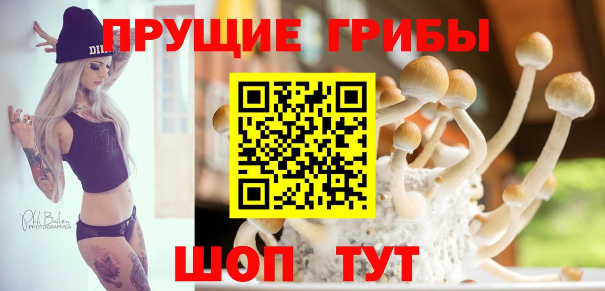 Псилоцибиновые грибы Cubensis  Вход с VPN  Ялта 